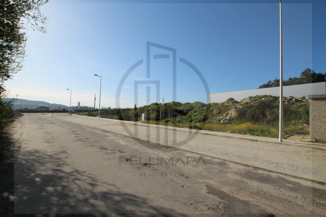 Terreno Comércio / Armazém para Venda em Abade de Neiva Foto 5