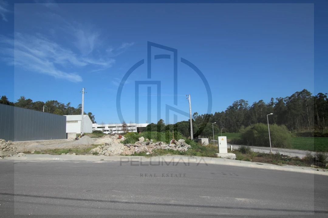 Terreno Comércio / Armazém para Venda em Abade de Neiva Foto 7