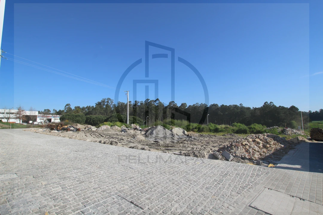 Terreno Comércio / Armazém para Venda em Abade de Neiva Foto 12