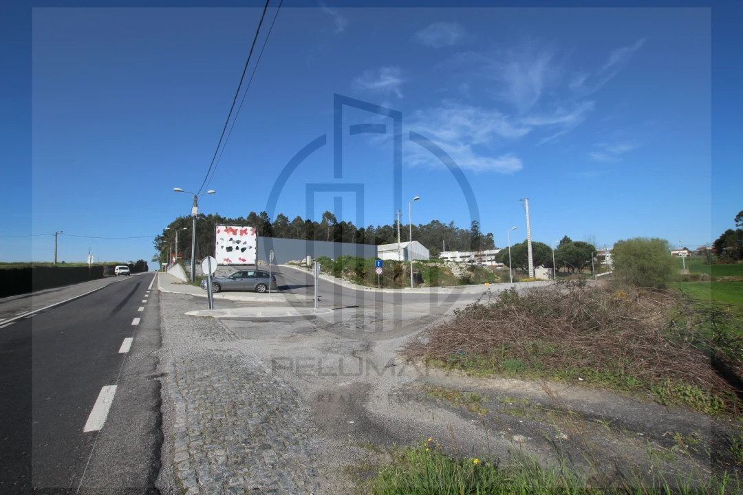 Terreno Comércio / Armazém para Venda em Abade de Neiva Foto 14
