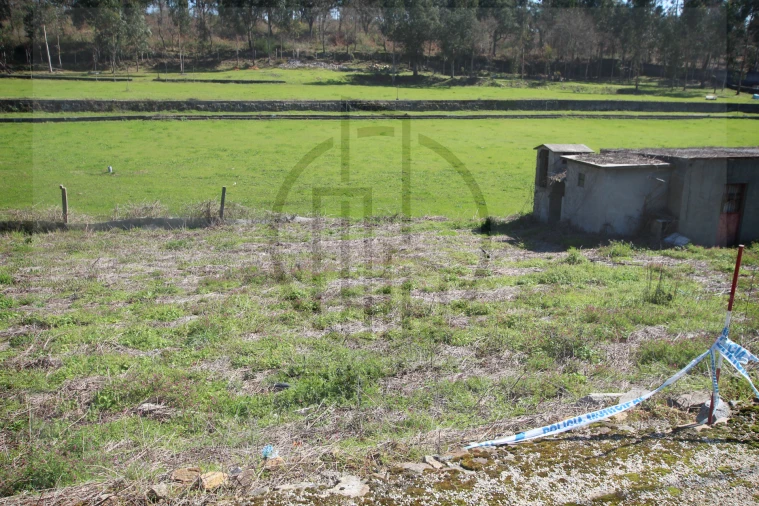 Terreno para Venda em Areias, Sequeirô, Lama e Palmeira Foto 9