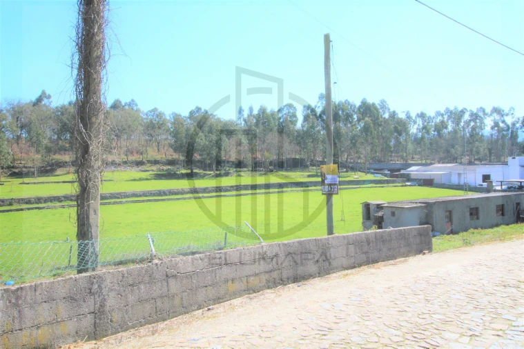 Terreno para Venda em Areias, Sequeirô, Lama e Palmeira Foto 7