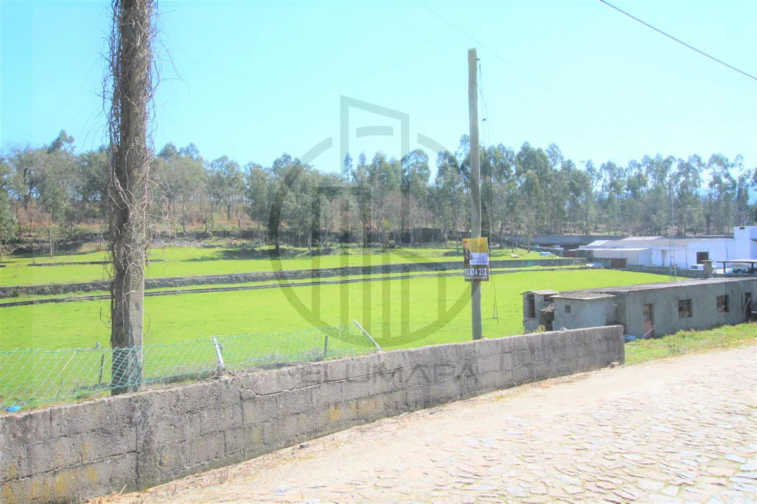 Terreno para Venda em Areias, Sequeirô, Lama e Palmeira Foto 7