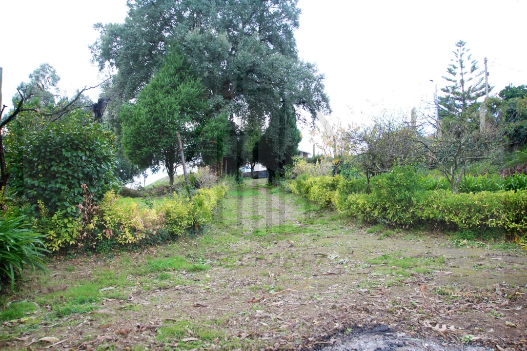 Terreno para Venda em Areias, Sequeirô, Lama e Palmeira Foto 5
