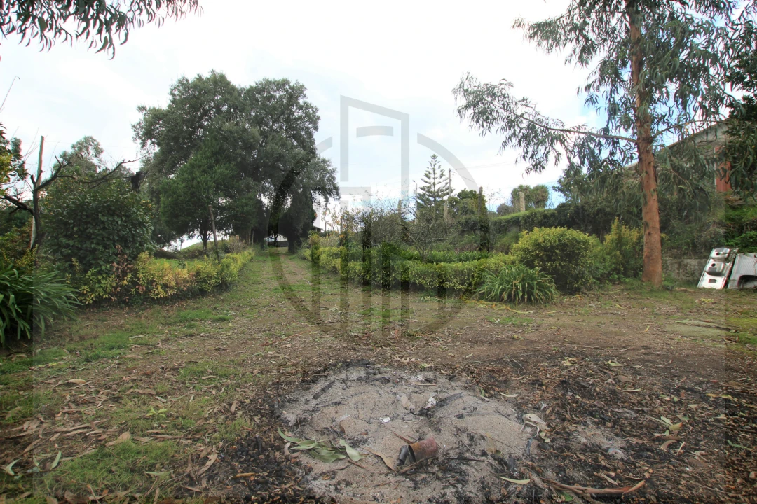 Terreno para Venda em Areias, Sequeirô, Lama e Palmeira Foto 7