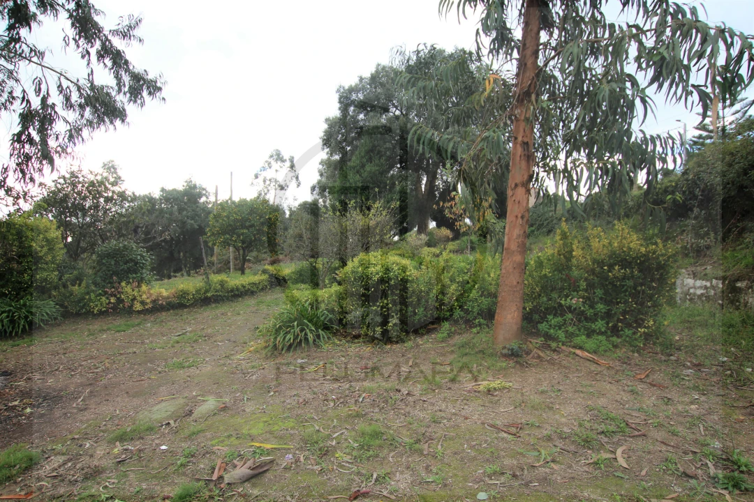 Terreno para Venda em Areias, Sequeirô, Lama e Palmeira Foto 6