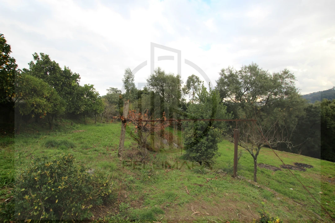 Terreno para Venda em Areias, Sequeirô, Lama e Palmeira Foto 14