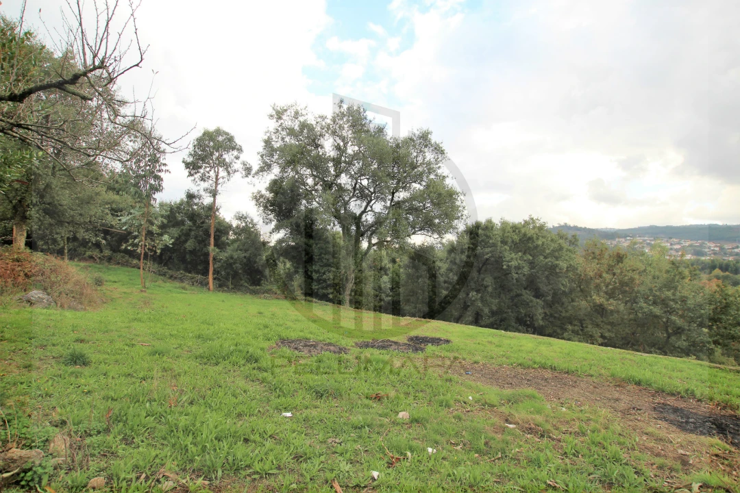 Terreno para Venda em Areias, Sequeirô, Lama e Palmeira Foto 2