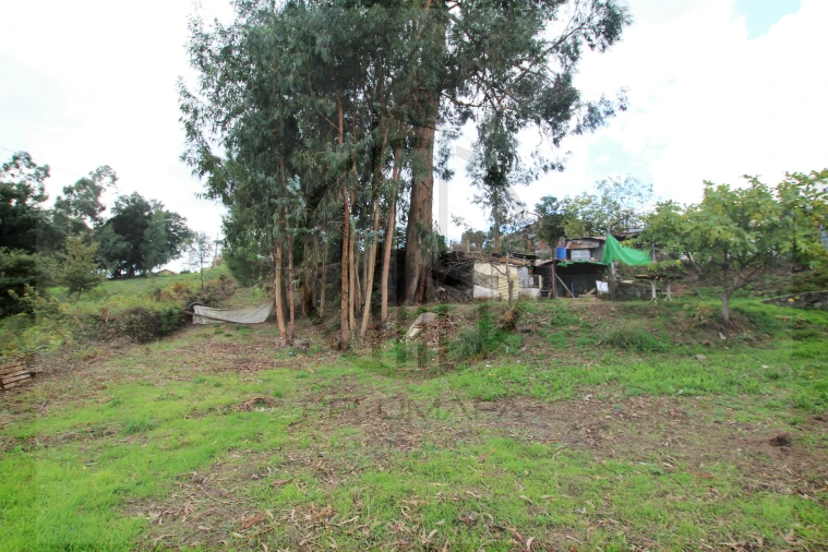 Terreno para Venda em Areias, Sequeirô, Lama e Palmeira Foto 9