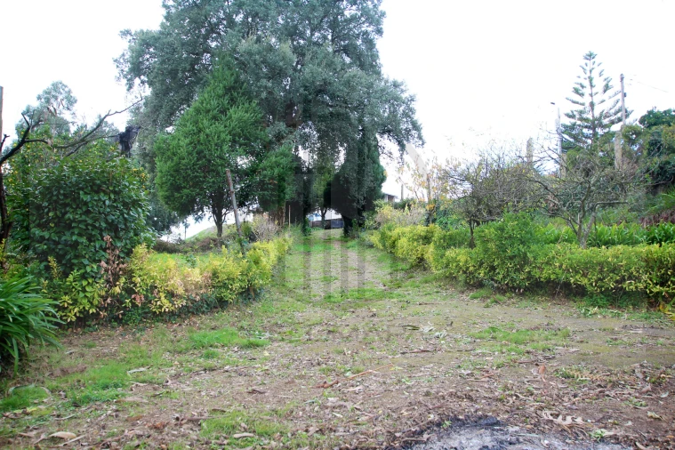 Terreno para Venda em Areias, Sequeirô, Lama e Palmeira Foto 5