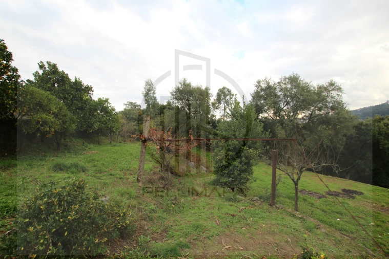 Terreno para Venda em Areias, Sequeirô, Lama e Palmeira Foto 14