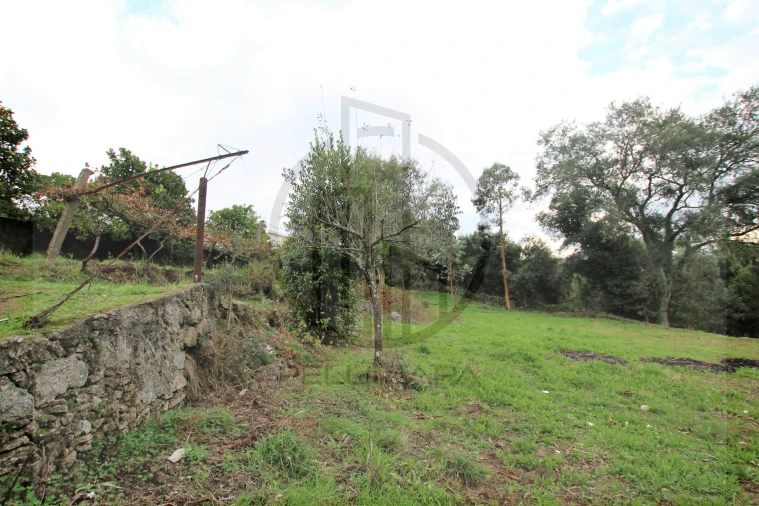 Terreno para Venda em Areias, Sequeirô, Lama e Palmeira Foto 12