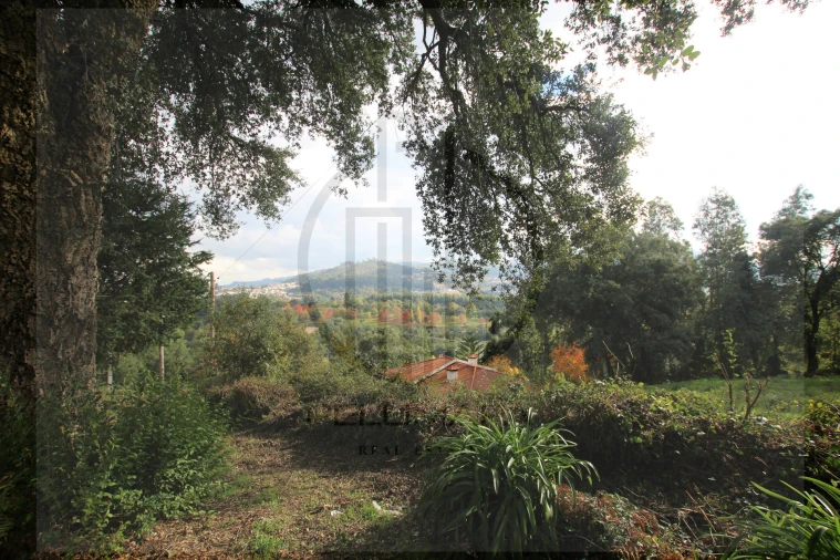 Terreno para Venda em Areias, Sequeirô, Lama e Palmeira Foto 21