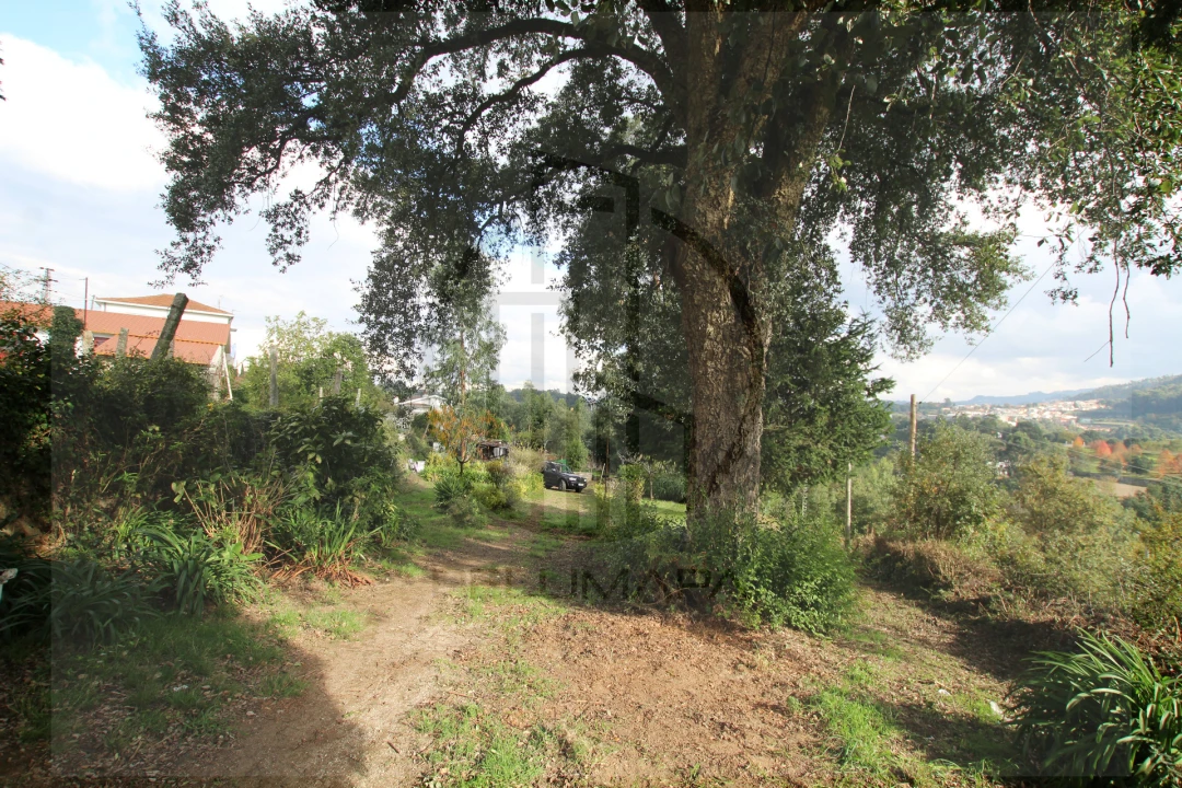 Terreno para Venda em Areias, Sequeirô, Lama e Palmeira Foto 22