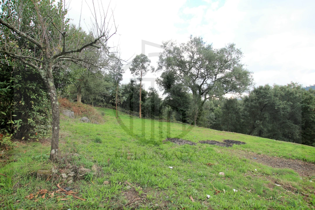 Terreno para Venda em Areias, Sequeirô, Lama e Palmeira Foto 11