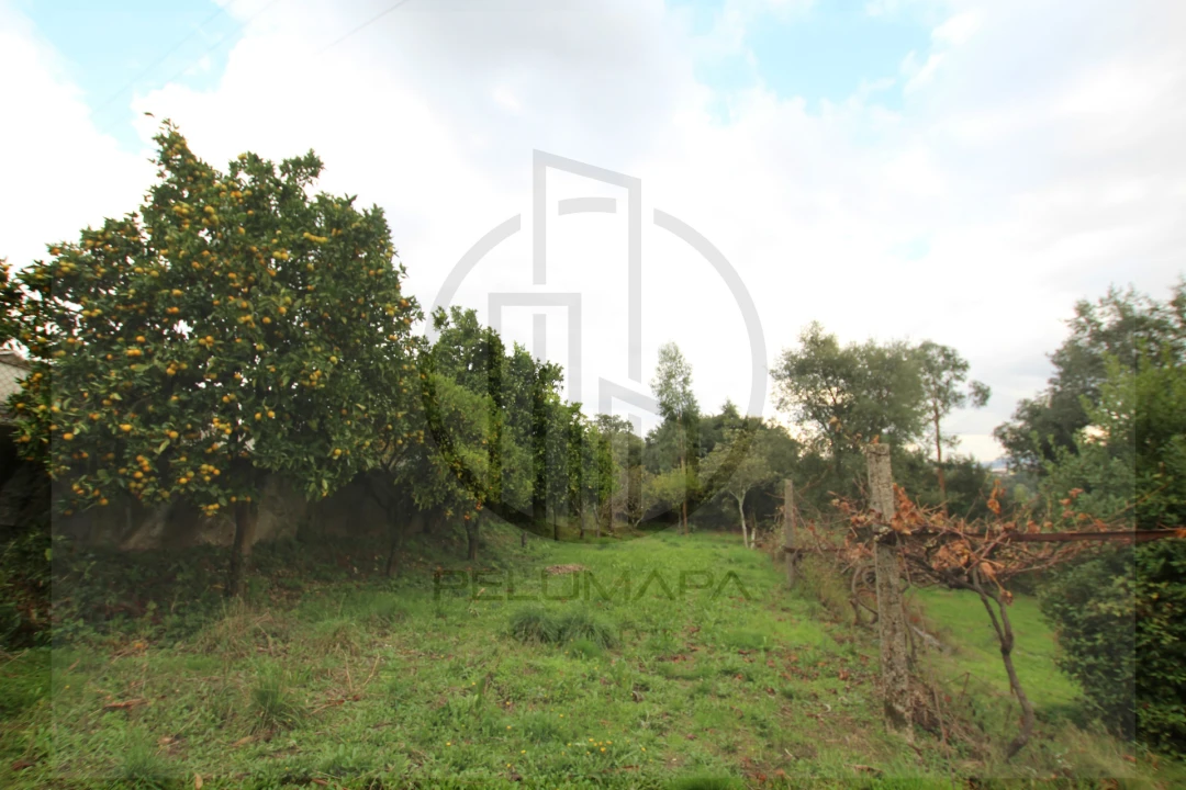Terreno para Venda em Areias, Sequeirô, Lama e Palmeira Foto 16