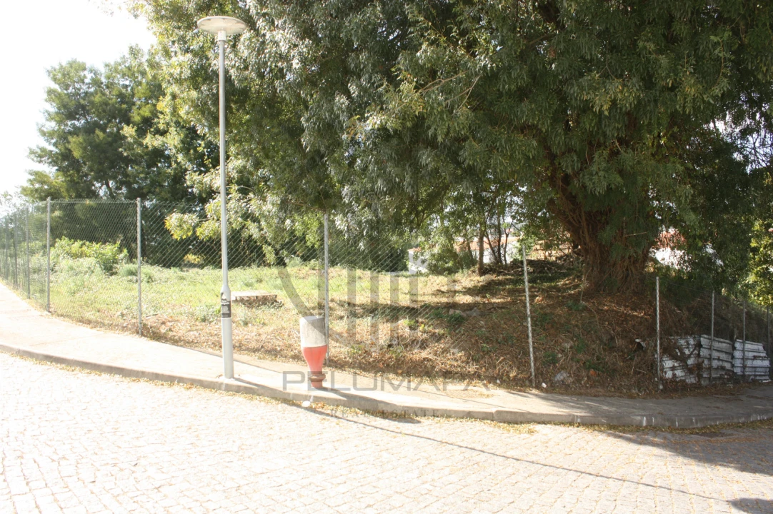 Terreno para Venda em Santo Tirso, Couto (Santa Cristina e São Miguel) e Burgães Foto 5
