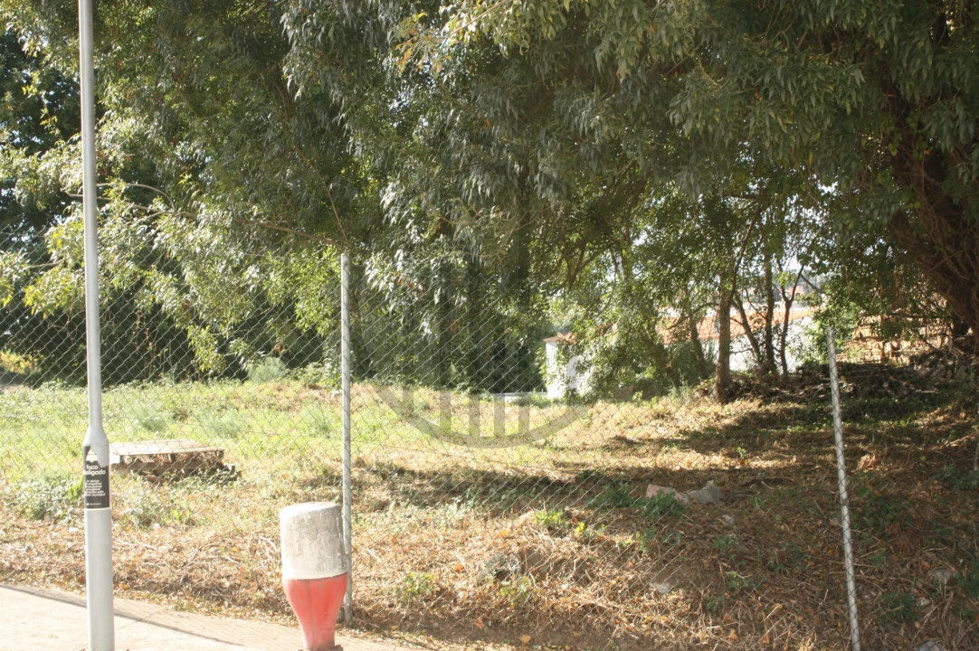 Terreno para Venda em Santo Tirso, Couto (Santa Cristina e São Miguel) e Burgães Foto 4