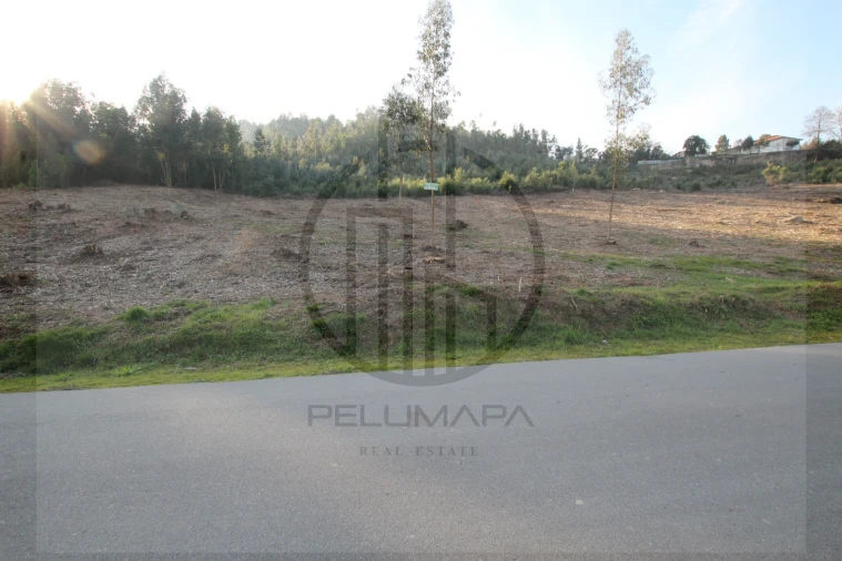 Terreno para Venda em Gamil e Midões Foto 6