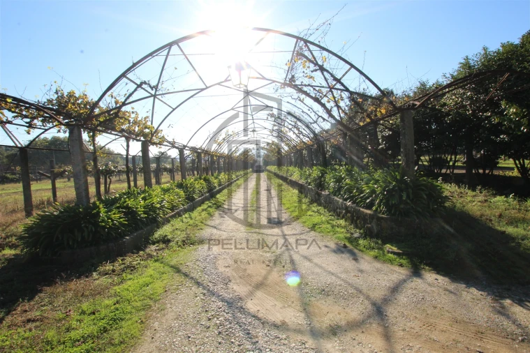 Quinta T6 para Venda em Antas e Abade de Vermoim Foto 7