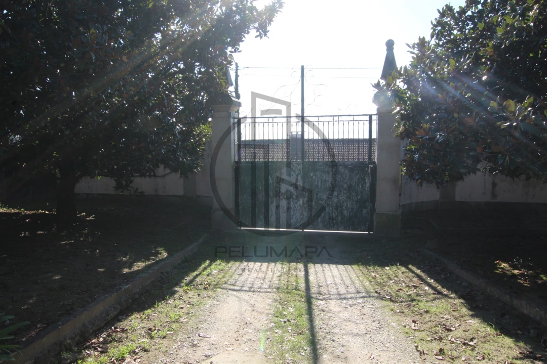 Quinta T6 para Venda em Antas e Abade de Vermoim Foto 27