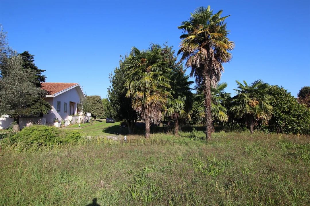 Quinta T6 para Venda em Antas e Abade de Vermoim Foto 21