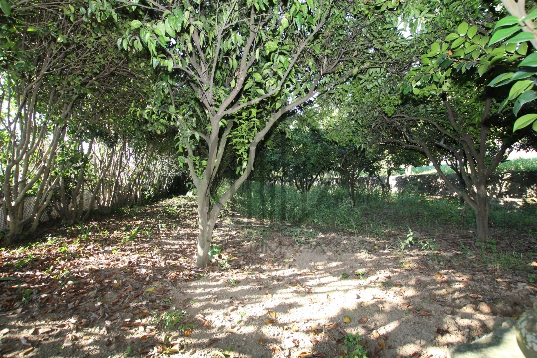 Quinta T6 para Venda em Antas e Abade de Vermoim Foto 23