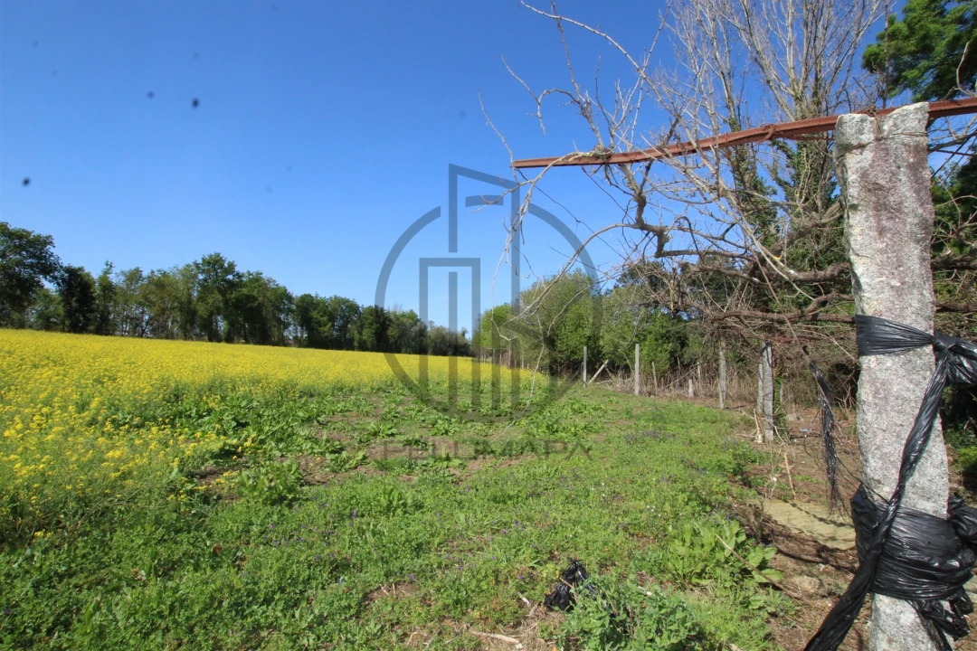 Terreno para Venda em Carreira e Bente Foto 8