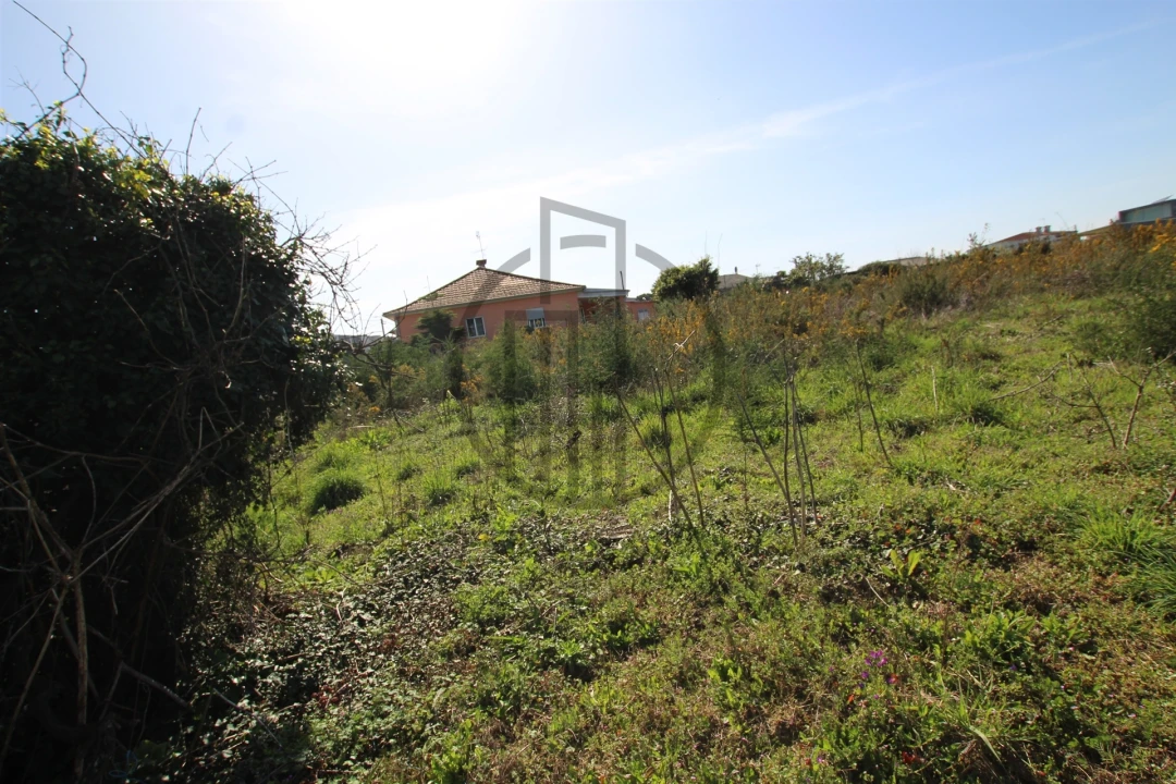 Terreno para Venda em Carreira e Bente Foto 14