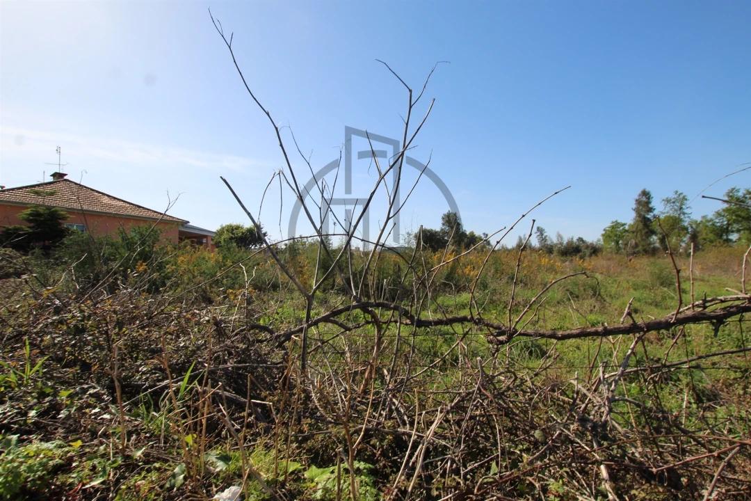 Terreno para Venda em Carreira e Bente Foto 5
