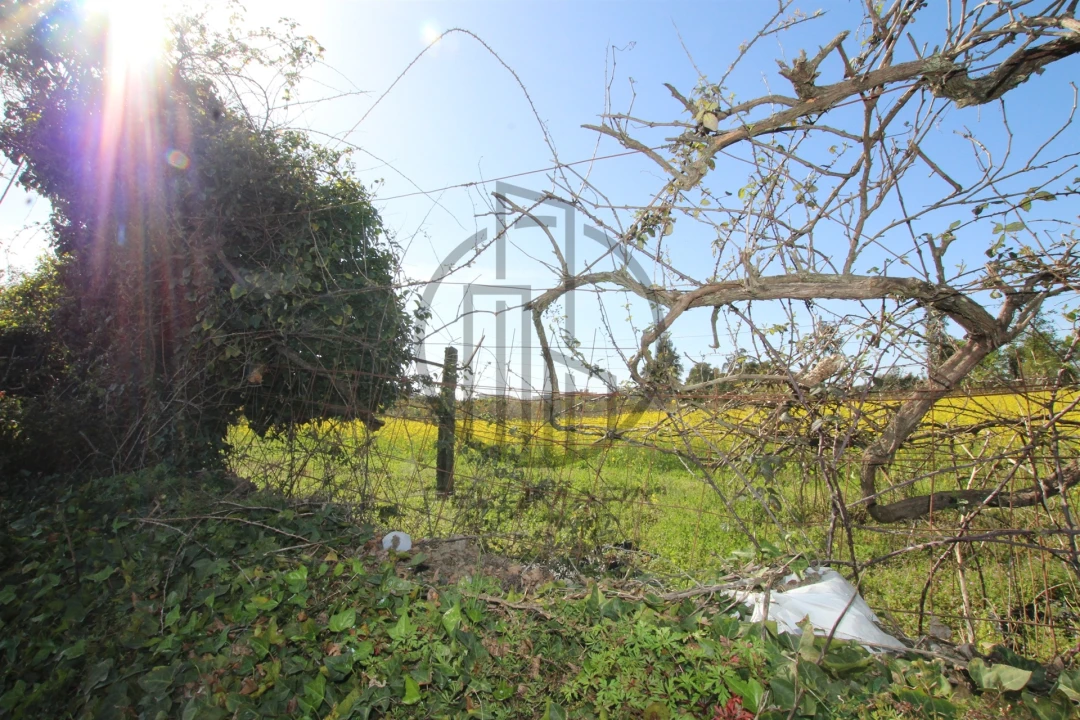 Terreno para Venda em Carreira e Bente Foto 7