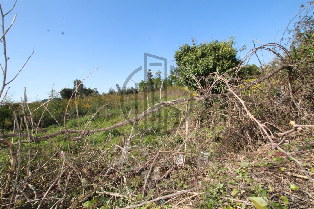 Terreno para Venda em Carreira e Bente Foto 6