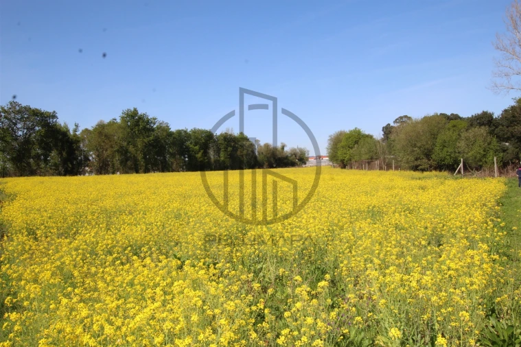 Terreno para Venda em Carreira e Bente Foto 16