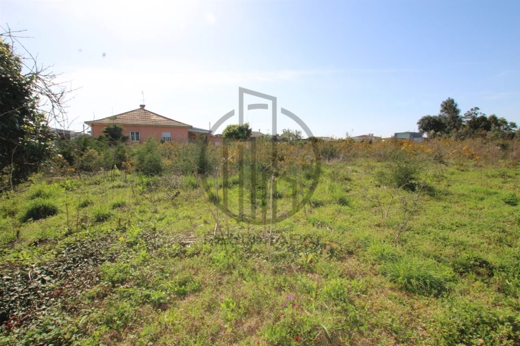 Terreno para Venda em Carreira e Bente Foto 15