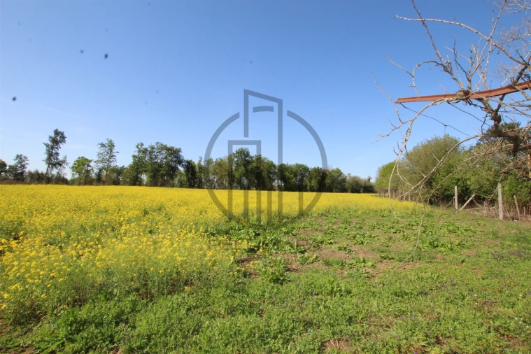 Terreno para Venda em Carreira e Bente Foto 9
