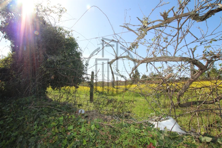 Terreno para Venda em Carreira e Bente Foto 7