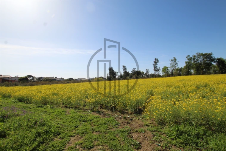 Terreno para Venda em Carreira e Bente Foto 10