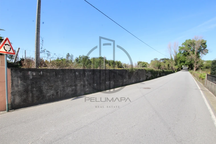 Terreno para Venda em Carreira e Bente