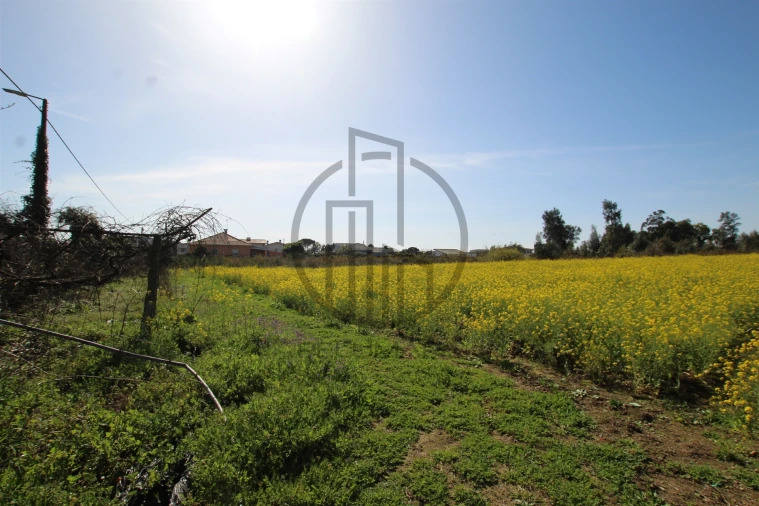 Terreno para Venda em Carreira e Bente Foto 11