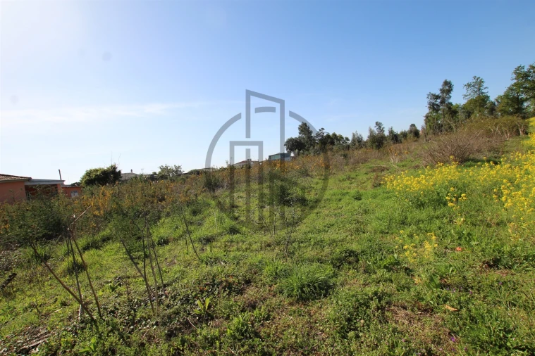 Terreno para Venda em Carreira e Bente Foto 13
