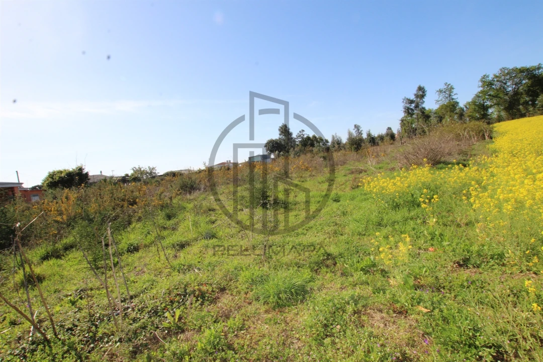 Terreno para Venda em Carreira e Bente Foto 12