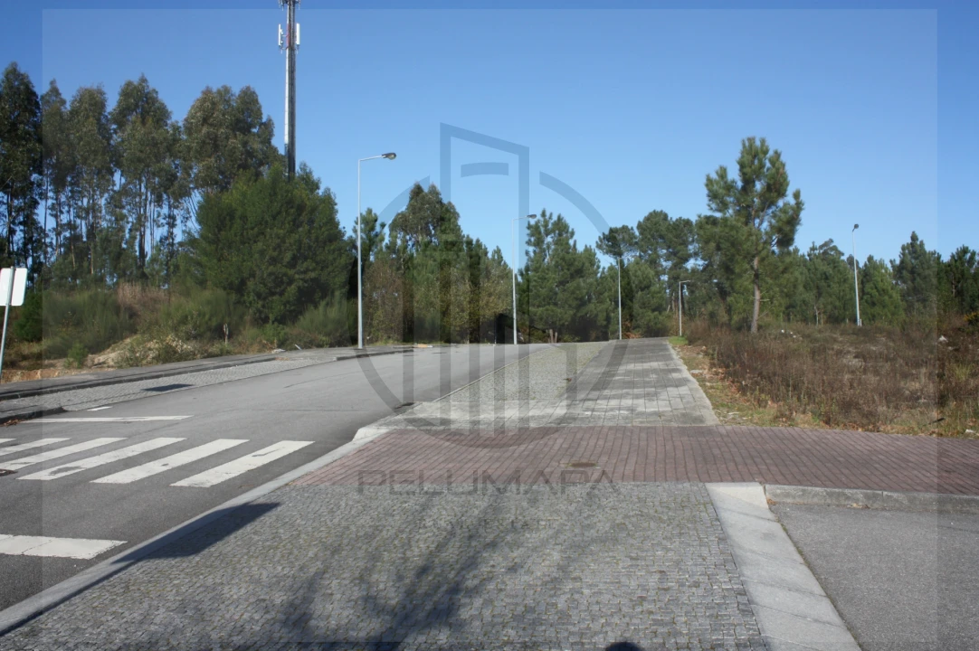 Terreno para Venda em Folgosa Foto 6