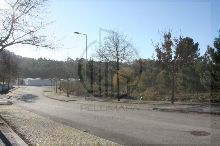 Terreno para Venda em Folgosa Foto 7