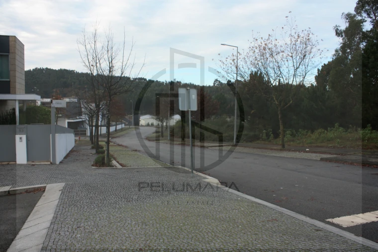 Terreno para Venda em Folgosa Foto 4