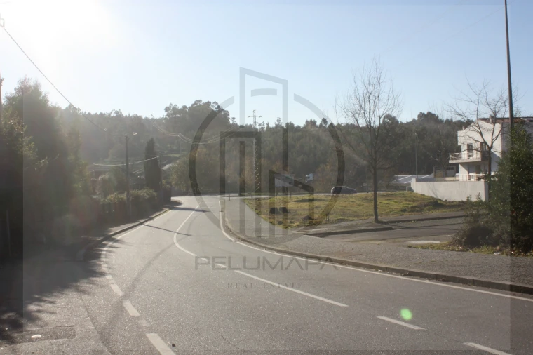 Terreno para Venda em Folgosa Foto 1