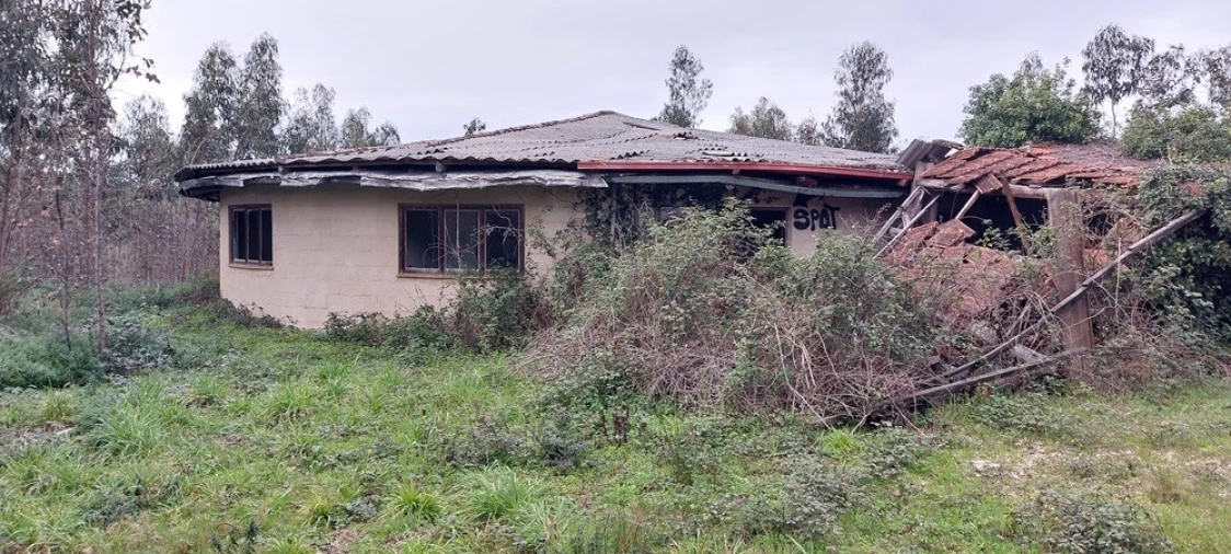 Terreno para Venda em Monte Real e Carvide Foto 2
