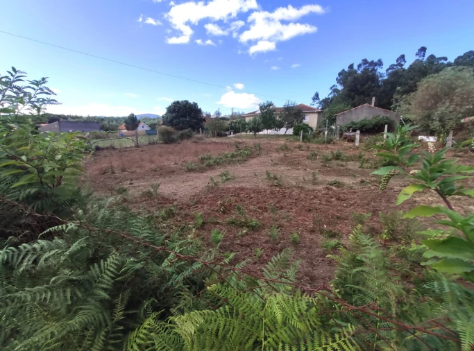 Terreno para Venda em Campos e Vila Meã Foto 6
