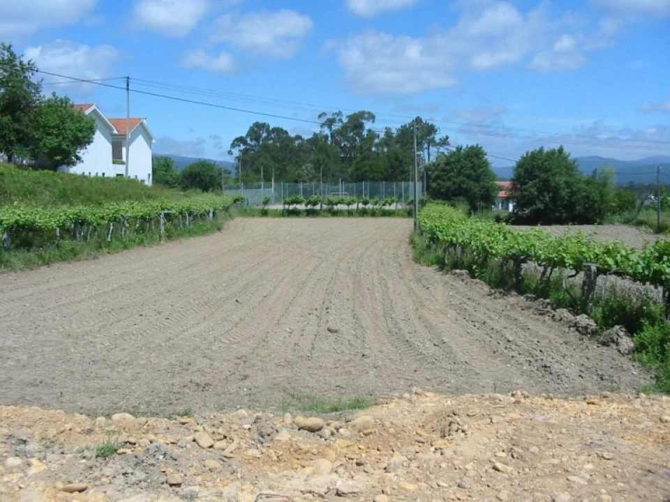 Terreno para Venda em Reboreda e Nogueira Foto 1