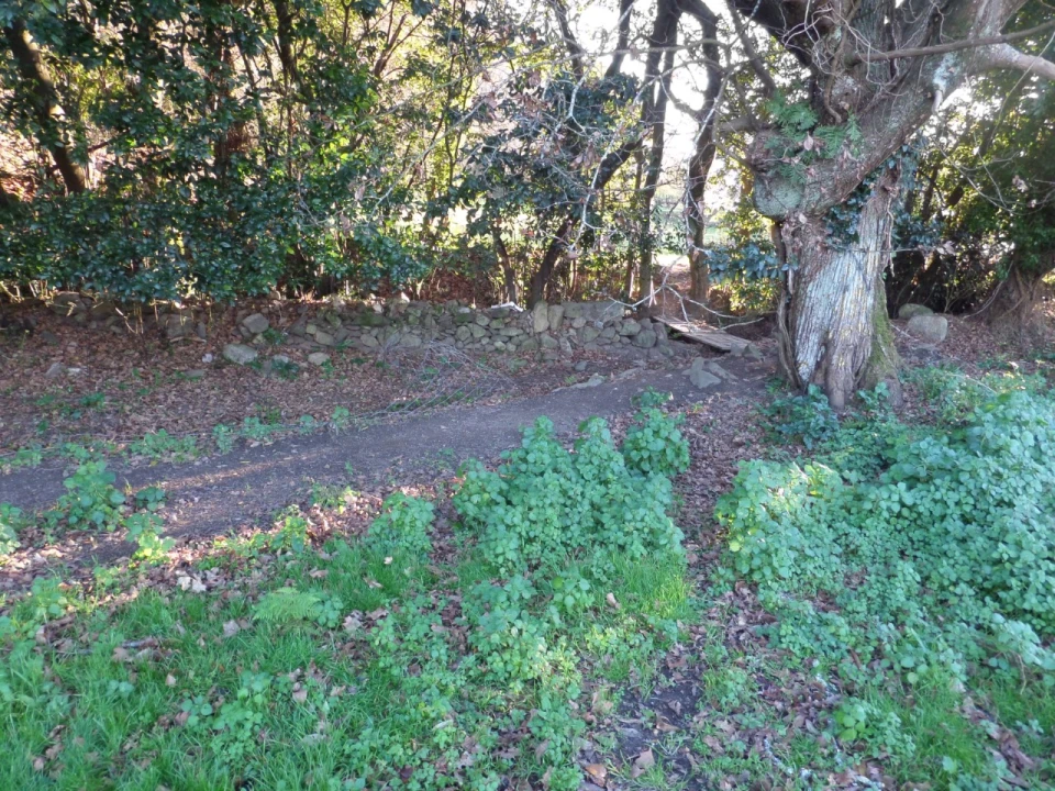 Quinta T1 para Venda em Vila Nova de Cerveira e Lovelhe Foto 16