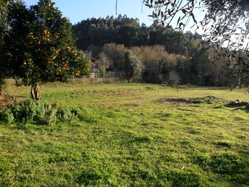Quinta T1 para Venda em Vila Nova de Cerveira e Lovelhe Foto 18